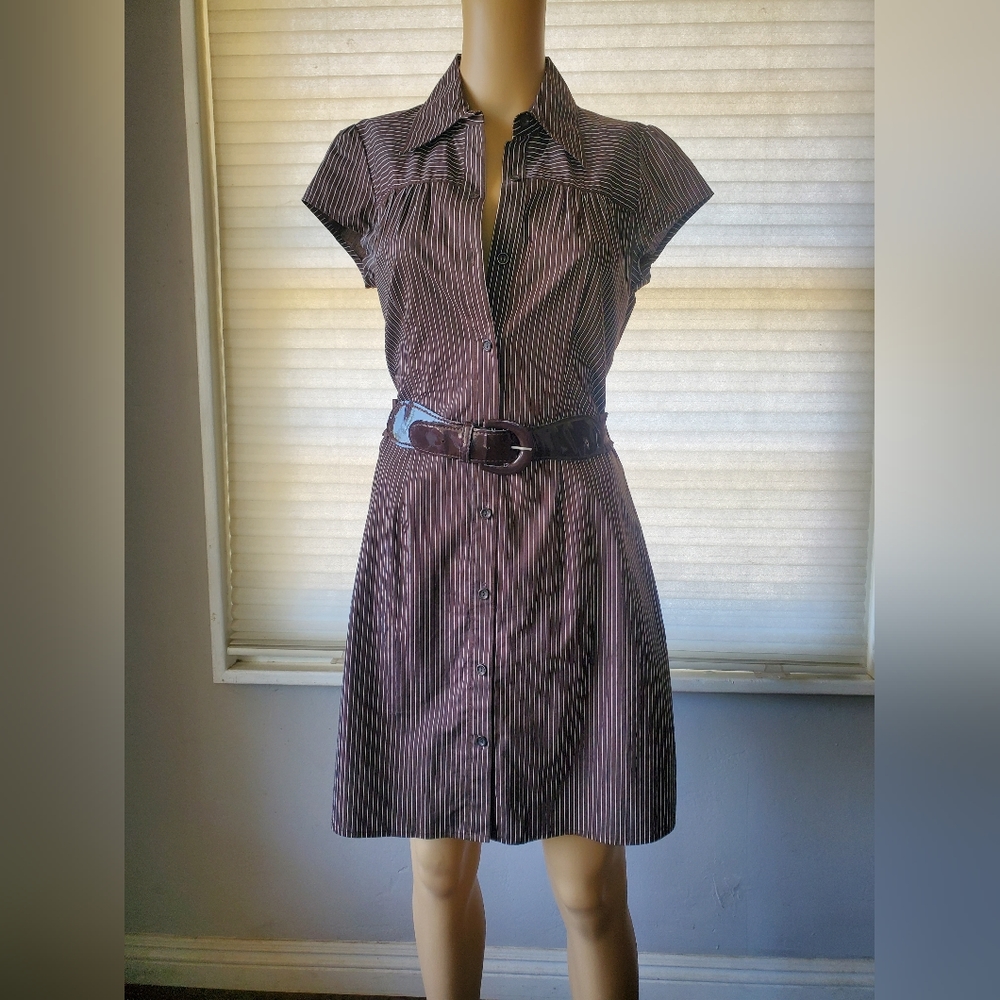 IZ brow dress with white pin stripes
